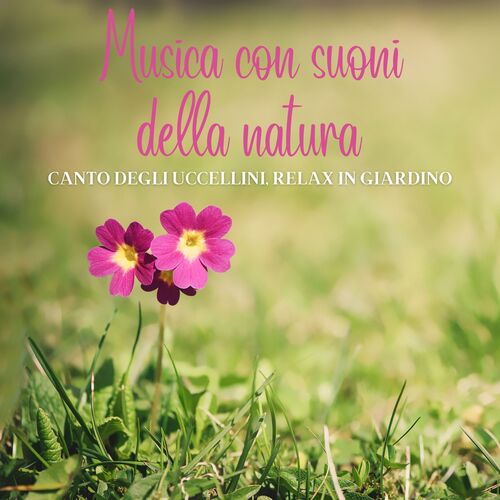 Canto degli uccellini cover art