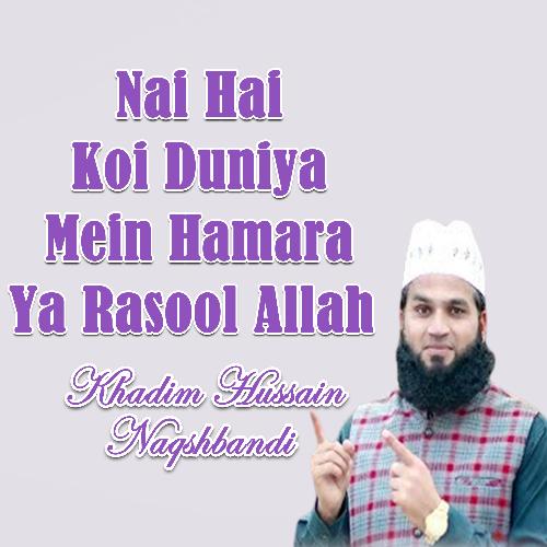 Nai Hai Koi Duniya Mein Hamara Ya Rasool Allah