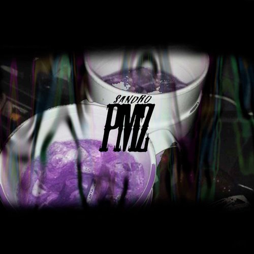 PMZ cover art