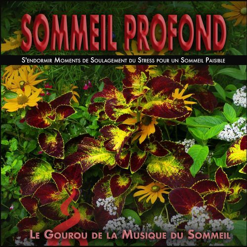Sommeil profond: S'endormir Moments de Soulagement du Stress pour un Sommeil Paisible