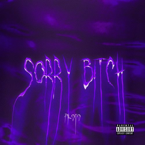 Sorry Bitch_poster_image