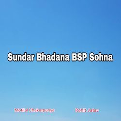 Sundar Bhadana Bsp Sohna-CSUtZx5AX3o