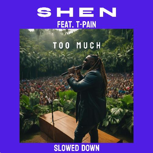 Too Much (feat. T-Pain) (Slowed Down)