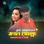 Tui Natorer Kacha Golla