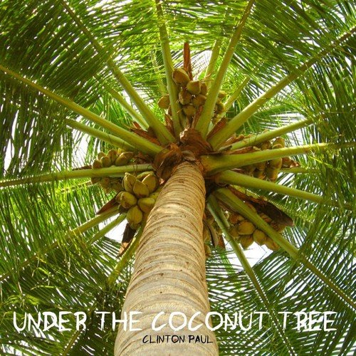 Under the Coconut Tree