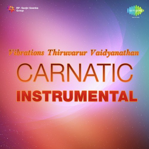 Vibrations - Thiruvarur Vaidyanathan