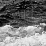 As If The Sea Was Whispering