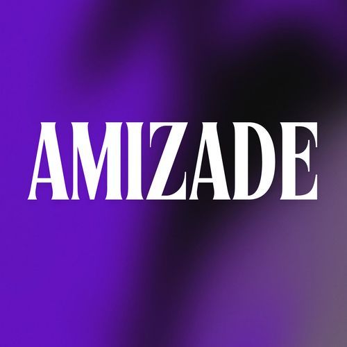 AMIZADE_poster_image