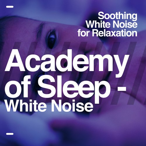 Academy of Sleep - White Noise