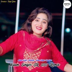 Aslam Singer SR 8787 Remix-HRsjUj9KWAI