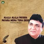 Aujla Aujla Payara Payara Mera Tera Dess