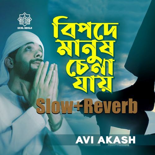 Bipode Manush Chena Jay (Slow+Reverb)