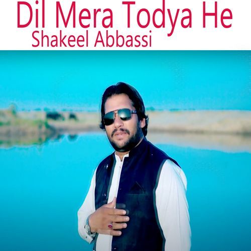 Dil Mera Todya He