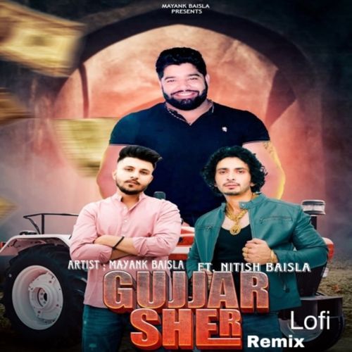 Gujjar Sher (Remix Slow)