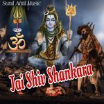 Jai Shiv Shankara