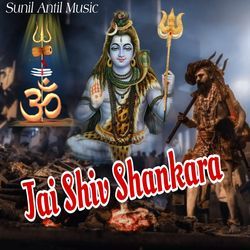 Jai Shiv Shankara