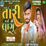 Janu Hoyali Tu Thagadi Tari Vaye Ni Lagu