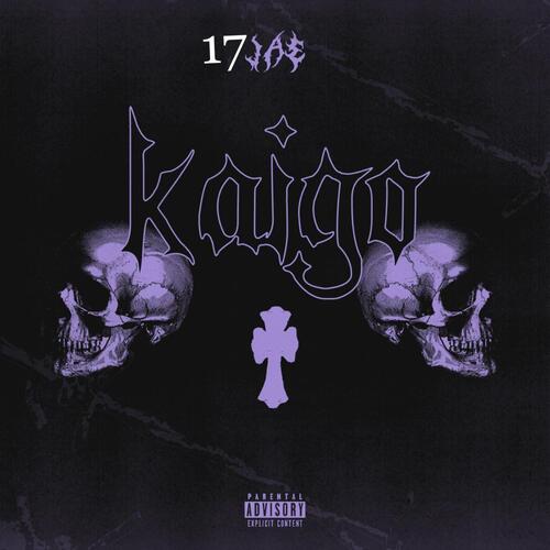 Kaigo cover art