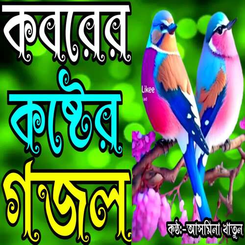 Kobor Theke Bolchi Mago