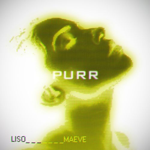 Maeve cover art
