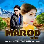 Marod
