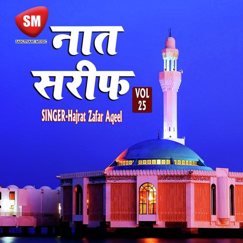 Naat Sharif Vol-25 (Urdu Islamic Naat)