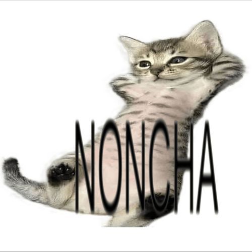 Noncha cover art