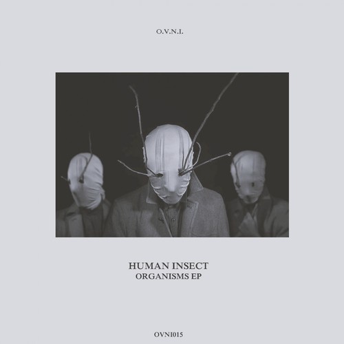 Human Insect