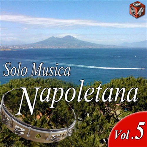 Solo musica napoletana, Vol. 5