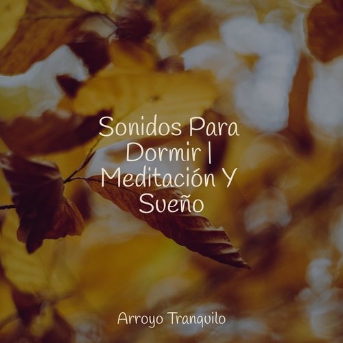 Boutique Puesta De Sol cover art
