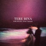 TERE BINA