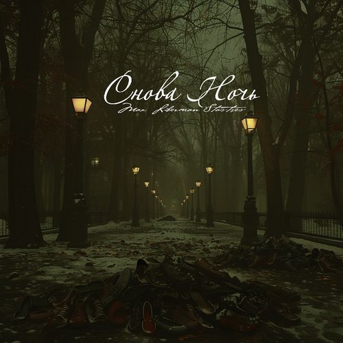 Снова ночь cover art
