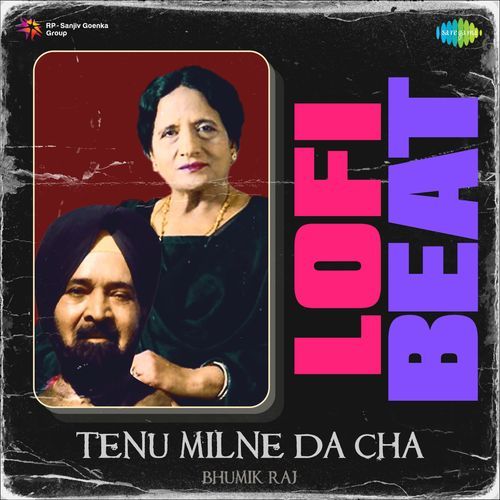 Tenu Milne Da Cha Lofi Beat