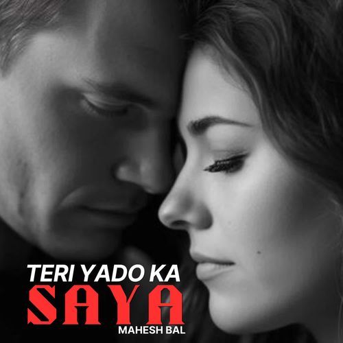 Teri Yado Ka Saya