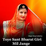 Toye Sant Bharat Giri Mil Jange