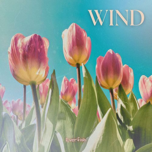 Wind