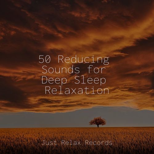 50 Reducing Sounds for Deep Sleep Relaxation