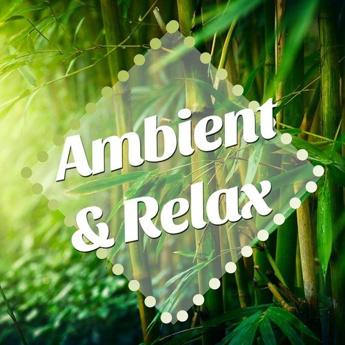 Ambient & Relax: New Age Vibes with nature Sounds and Piano Lullabies to set you in a Peaceful and Soothing Mood, Destress after a Long Day at Work and Fend Off Agitated States of Mind