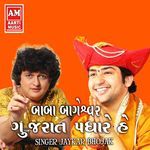 Baba Bhageswar Gujarat Padhare He artwork