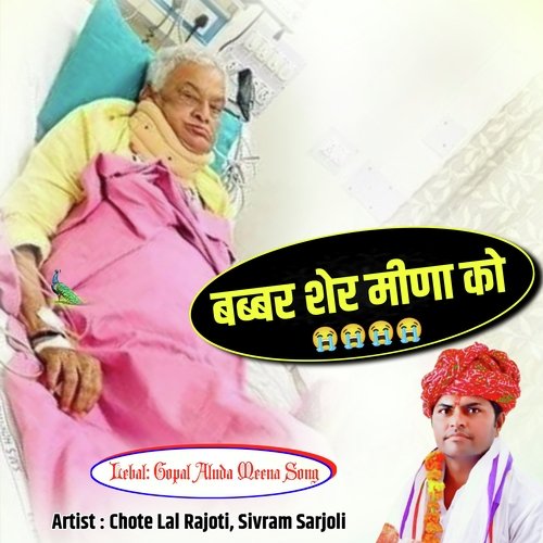 Babbar Sher Meena Ko