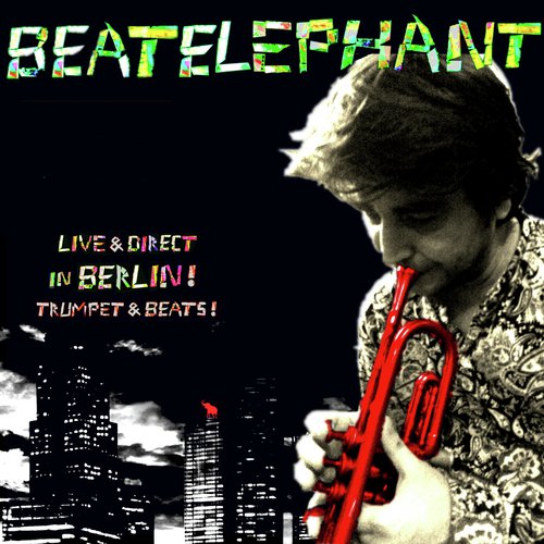 Fast Elephant cover art