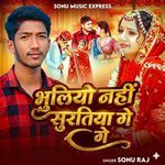 Bhuliyo Nahi Suratiya Ge