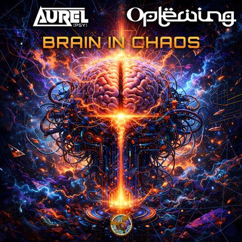 Brain in Chaos