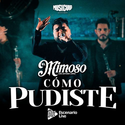 Cómo Pudiste (Parece Mentira / Cómo Pudiste / Deja) (En Vivo)_poster_image