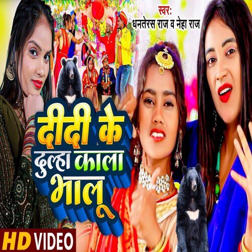 Didi Ke Dulha Kala Bhalu