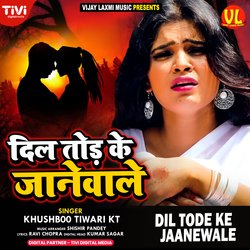 Dil Tode Ke Jaanewale-PBsZAx1CAX8