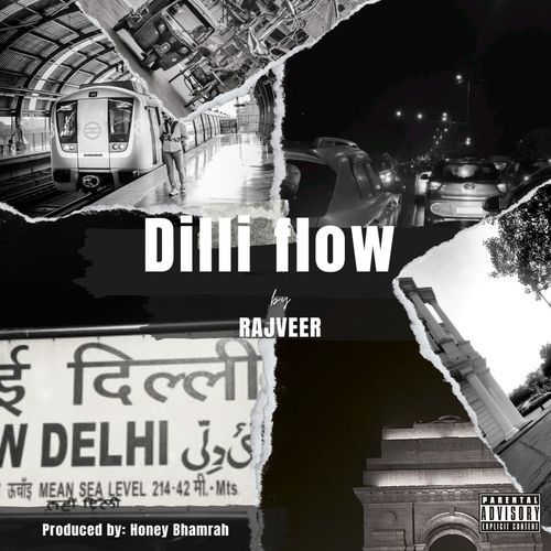 Dilli Flow