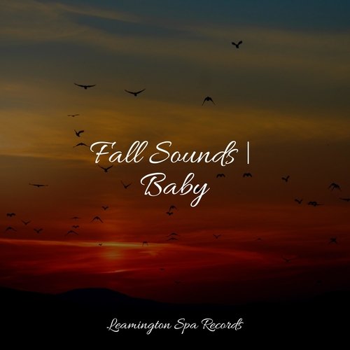 Fall Sounds | Baby