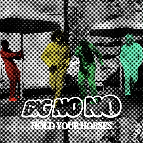 Hold Your Horses cover art