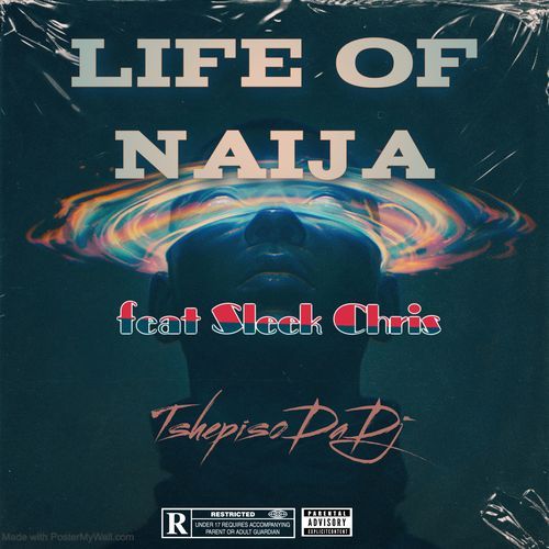 Life of Naija_poster_image